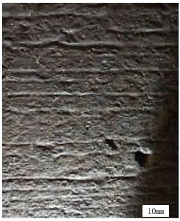 5df84fb785682.jpg 2.jpg